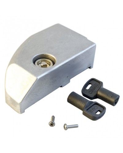 Дверца замка разблокировки BK Came 119RIBK012 в Иваново Запчасти для шлагбаумов и автоматики Pintop.ru