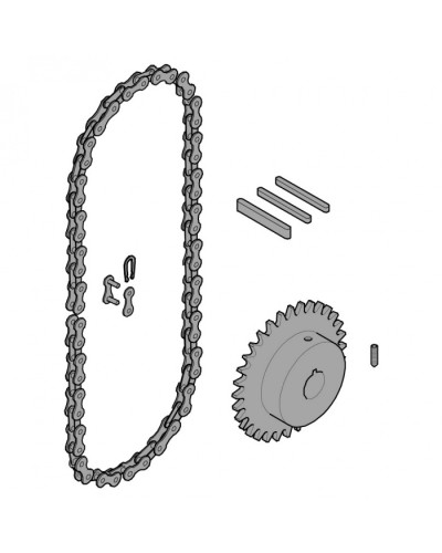 Передающая система (цепь и звездочки) C005 Came 119RICX016 в Иваново Запчасти для шлагбаумов и автоматики Pintop.ru