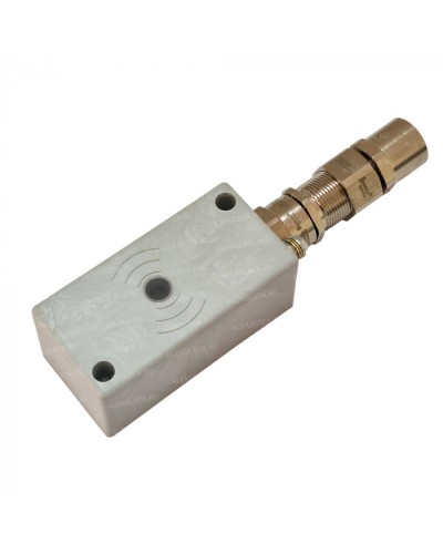 Считыватель взрывозащищенный ALeko ALM-RD-S08-F-RMFEH-T в Иваново Считыватели Pintop.ru