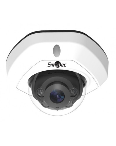 IP-камера видеонаблюдения уличная купольная Smartec STC-IPM3540/1 в Иваново IP-камеры Pintop.ru