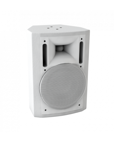 Громкоговоритель настенный Sonar SWM-60W в Иваново Система оповещения и трансляции Sonar Pintop.ru