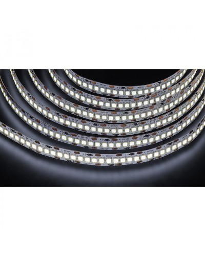 Лента светодиодная Navigator 14 459 NLS-2835CW240-24-IP20-12V в Иваново Источники света(Лампы) Pintop.ru