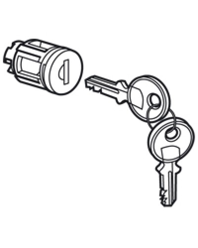 Цилиндр встроенный под ключ №405 Legrand 020291 в Иваново Дополнительное оборудование для сетей Pintop.ru