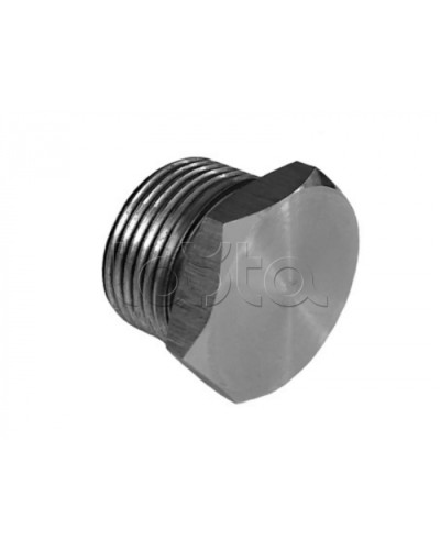 Металлическая резьбовая заглушка взрывозащищённая Магнито-контакт Ех-заглушка ВЗ 01 М Н (под Ø 16) 1Ex d IIС Gb/PB Ex d I Mb или Ex tb IIIС Db или 0Ex ia IIC Ga или 1Ex e IIС Gb в Иваново Дополнительное оборудование (Ex) Pintop.ru