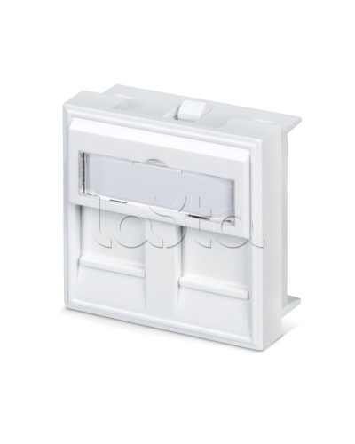 Вставка 45x45 (аналог Mosaic) для 2 модулей формата Keystone Jack Cabeus FP-45-2M в Иваново Модули Keystone Pintop.ru