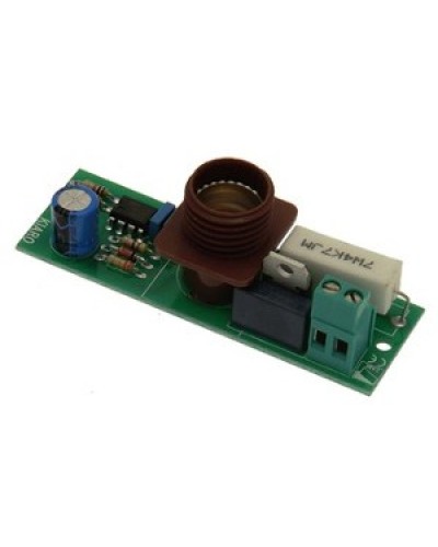 Плата лампы KIARO 24 Came 119RIR030 в Иваново Запчасти для шлагбаумов и автоматики Pintop.ru