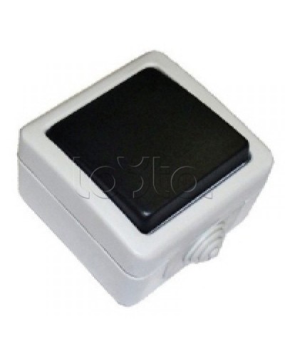 Экопласт EF600SD Выключатель одноклавишый с самовозвратом (кнопка),10A (сер.) в Иваново Розетки компьютерные и телефонные Pintop.ru