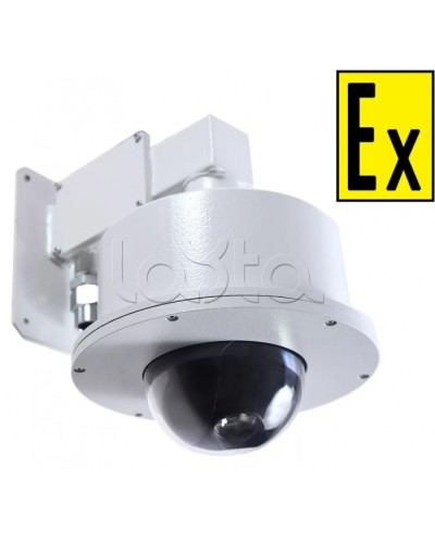 Видеокамера взрывозащищенная Компания СМД Орион МК PTZ- Н-12-36В в Иваново Взрывозащищенные камеры Pintop.ru