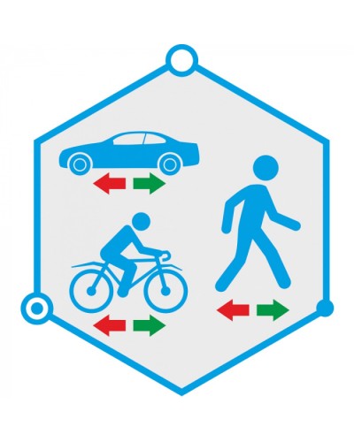 ПО детектор движения в запрещенном направлении TRASSIR Direction Detector в Иваново Системы видеонаблюдения Pintop.ru