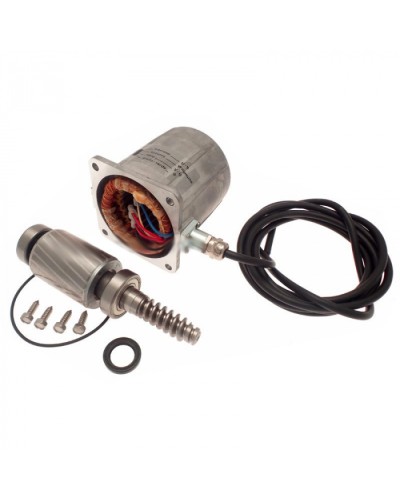 Электродвигатель FROG-A в сборе Came 119RIA061 в Иваново Запчасти для шлагбаумов и автоматики Pintop.ru