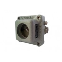 Извещатель пожарный пламени взрывозащищенный Квазар ИП 329-5В "АМЕТИСТ" с двумя кабельными вводами