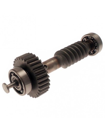 Червяк редуктора FAST в сборе Came 119RID228 в Иваново Запчасти для шлагбаумов и автоматики Pintop.ru