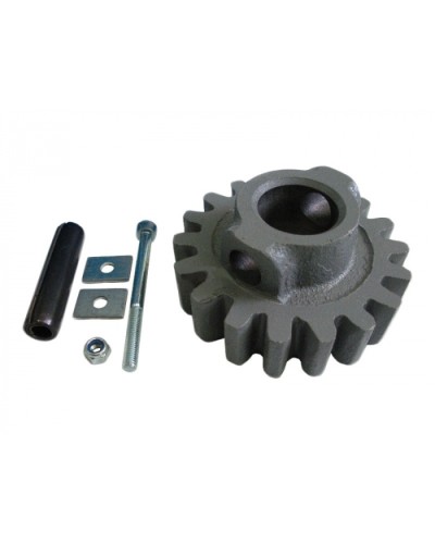 Шестерня ведущая ВК Came 119RIBK002 в Иваново Запчасти для шлагбаумов и автоматики Pintop.ru
