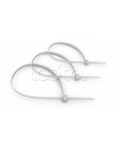 Стяжка нейлоновая неоткрывающаяся, безгалогенная (halogen free) 100x2.5мм, (100 шт) Cabeus CT-100 в Иваново Аксессуары для кабель-канала Pintop.ru