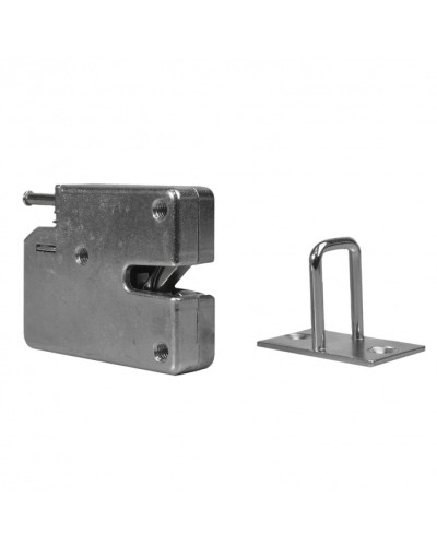 Замок электронный RusGuard CMS в Иваново Электромагнитные замки Pintop.ru