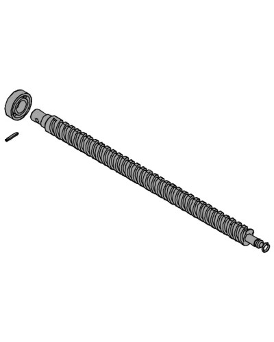 Винт ходовой AX302304, AX3024, АХ402306, AX412306 Came 119RID319 в Иваново Запчасти для шлагбаумов и автоматики Pintop.ru