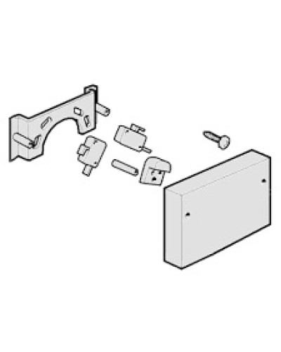 Микровыключатели G4000, G3750 Came 119RIG040 в Иваново Запчасти для шлагбаумов и автоматики Pintop.ru