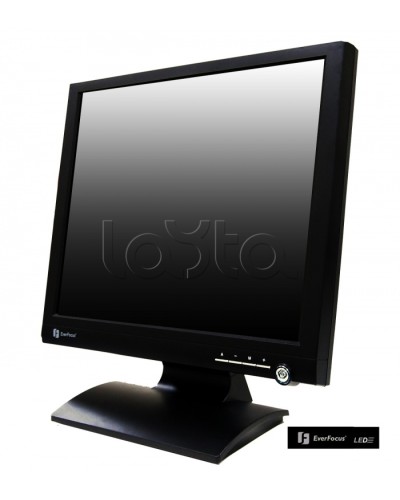 Монитор профессиональный EverFocus FH-19LED в Иваново Мониторы для видеонаблюдения Pintop.ru