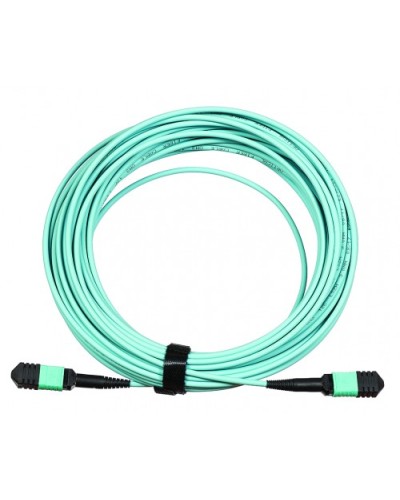 Сборка кабельная LANMASTER (LAN-12M-12M/OM3B-10) в Иваново Коннекторы Pintop.ru