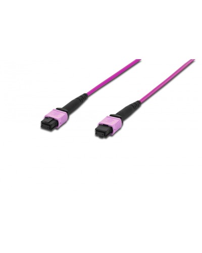Сборка кабельная LANMASTER (LAN-12M-12M/OM4B-1.0) в Иваново Коннекторы Pintop.ru