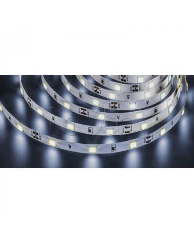 Лента светодиодная Navigator 80 313 NLS-5050CW30-7.2-IP20-12V-Pro R5 в Иваново Светотехническое оборудование Pintop.ru