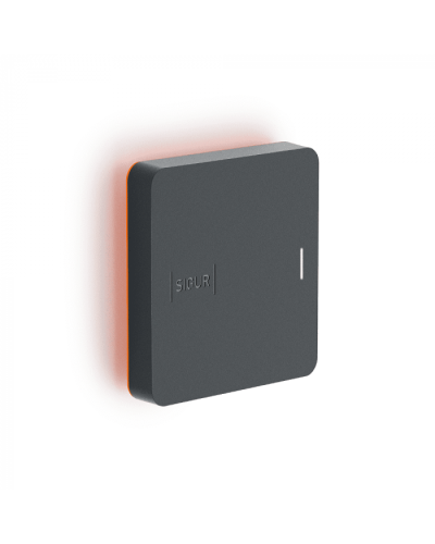 Считыватель SIGUR MR1 BLE в Иваново Считыватели Pintop.ru