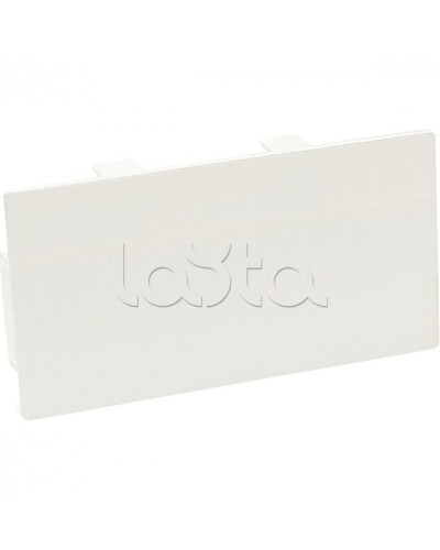 Заглушка торцевая для кабельного канала 100х50 SPL 100002S в Иваново Аксессуары для кабель-канала Pintop.ru