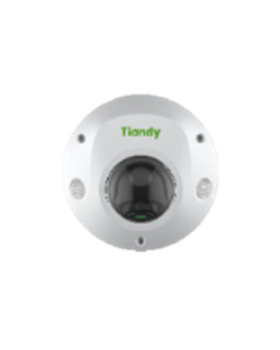 Купольная IP-камера Tiandy TC-C35PS Spec:I3/E/Y/M/H/4mm/V4.2 в Иваново IP-камеры Pintop.ru