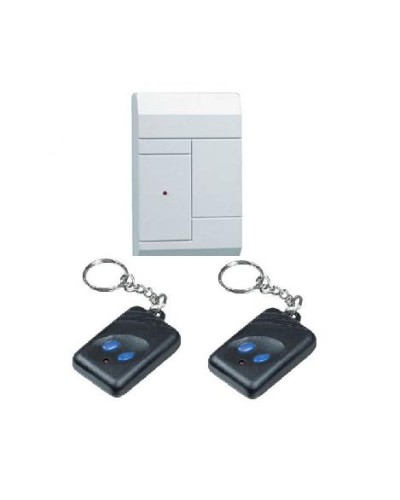 Комплект приёмник RR-1R + 2 брелока RFG-1 Альтоника Риф Ринг RR-1 в Иваново Радиоканальные системы безопасности Pintop.ru