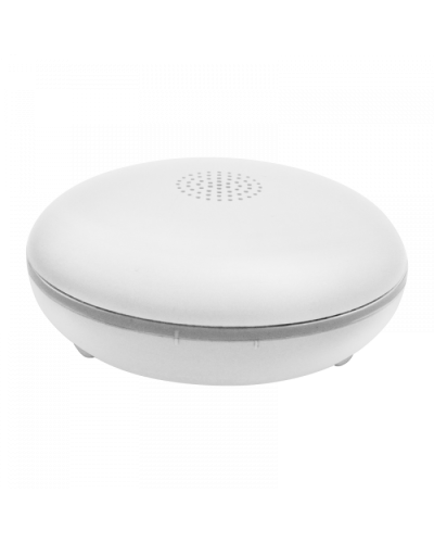 Датчик затопления Болид С2000Р-ДЗ исп.01 в Иваново Охранно-пожарное оборудование Pintop.ru