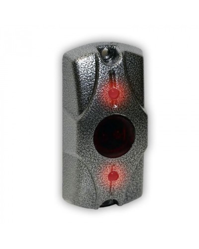 Олевс ЦИКЛОП ИК серебряный антик в Иваново Электромагнитные замки Pintop.ru