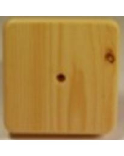 Коробка распаячная, с винтом, 100x100x20 (50 шт/уп) ПожТехКабель 030-009 в Иваново Распределительные коробки Pintop.ru