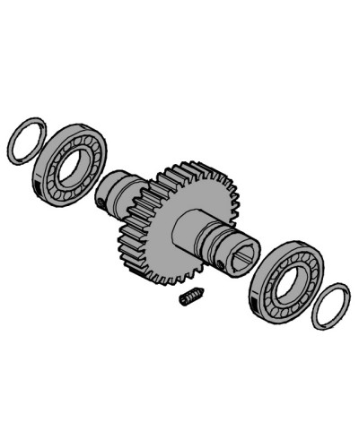 Вал выходной EMEGA Came 119RIE062 в Иваново Запчасти для шлагбаумов и автоматики Pintop.ru