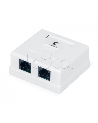 Розетка компьютерная RJ-45, категория 5e, двойная, внешняя, Dual IDC Cabeus WS-8P8C-Cat.5e-2 в Иваново Розетки компьютерные и телефонные Pintop.ru