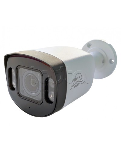 IP-камера видеонаблюдения в стандартном исполнении Fox FX-IPC-C40AP-IR H.265 AI в Иваново IP-камеры Pintop.ru