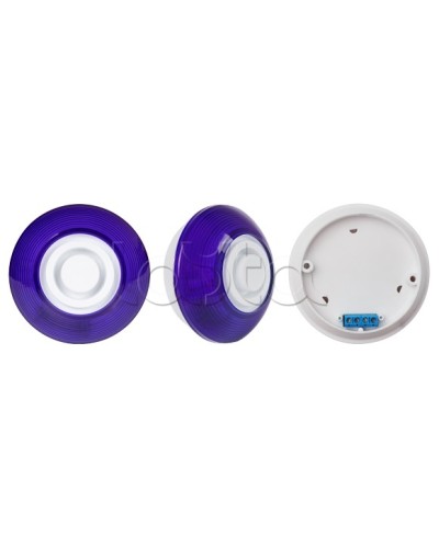 Оповещатель комбинированный SLT Марс 12-КП (строб, син) в Иваново Оповещатели Pintop.ru