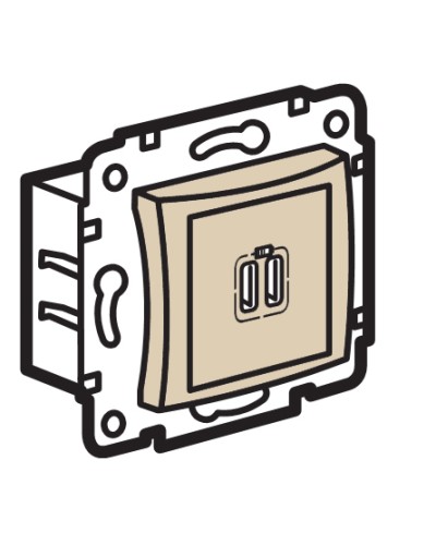 Устройство зарядное с коннекторами USB Legrand (774170) в Иваново Аксессуары для кабель-канала Pintop.ru