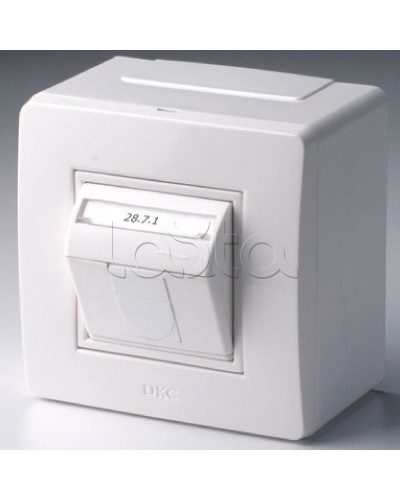 Коробка в сборе с 1 розеткой RJ45, кат.5е (телефон / компьютер), белая DKC 10665 в Иваново Распределительные коробки Pintop.ru