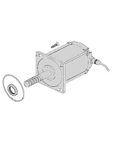 Электродвигатель Came 119RIA025 в Иваново Запчасти для шлагбаумов и автоматики Pintop.ru