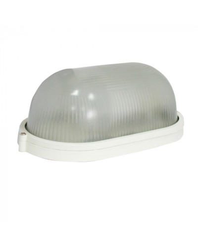 Светильник Бастион Skat LED-220 E27 IP54 в Иваново Светильники Pintop.ru