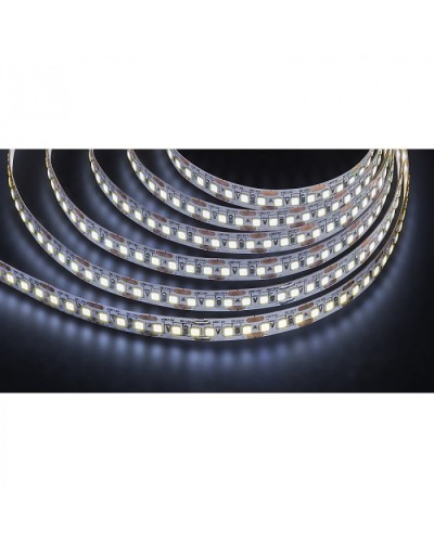 Лента светодиодная Navigator 14 455 NLS-2835CW168-16-IP20-12V в Иваново Источники света(Лампы) Pintop.ru